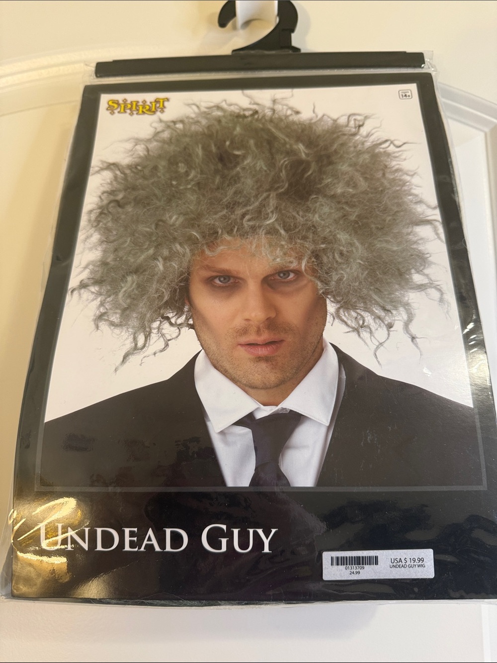 Spirit Halloween Gray Curly Undead Guy Wig